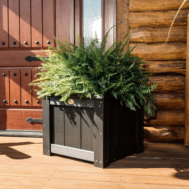 This is a lifestyle image showing the Black colored planter box with a green plant growing out of it.