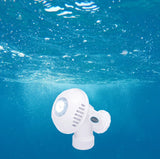 Star Series StarWhite Feature for CARVIN® Pools
