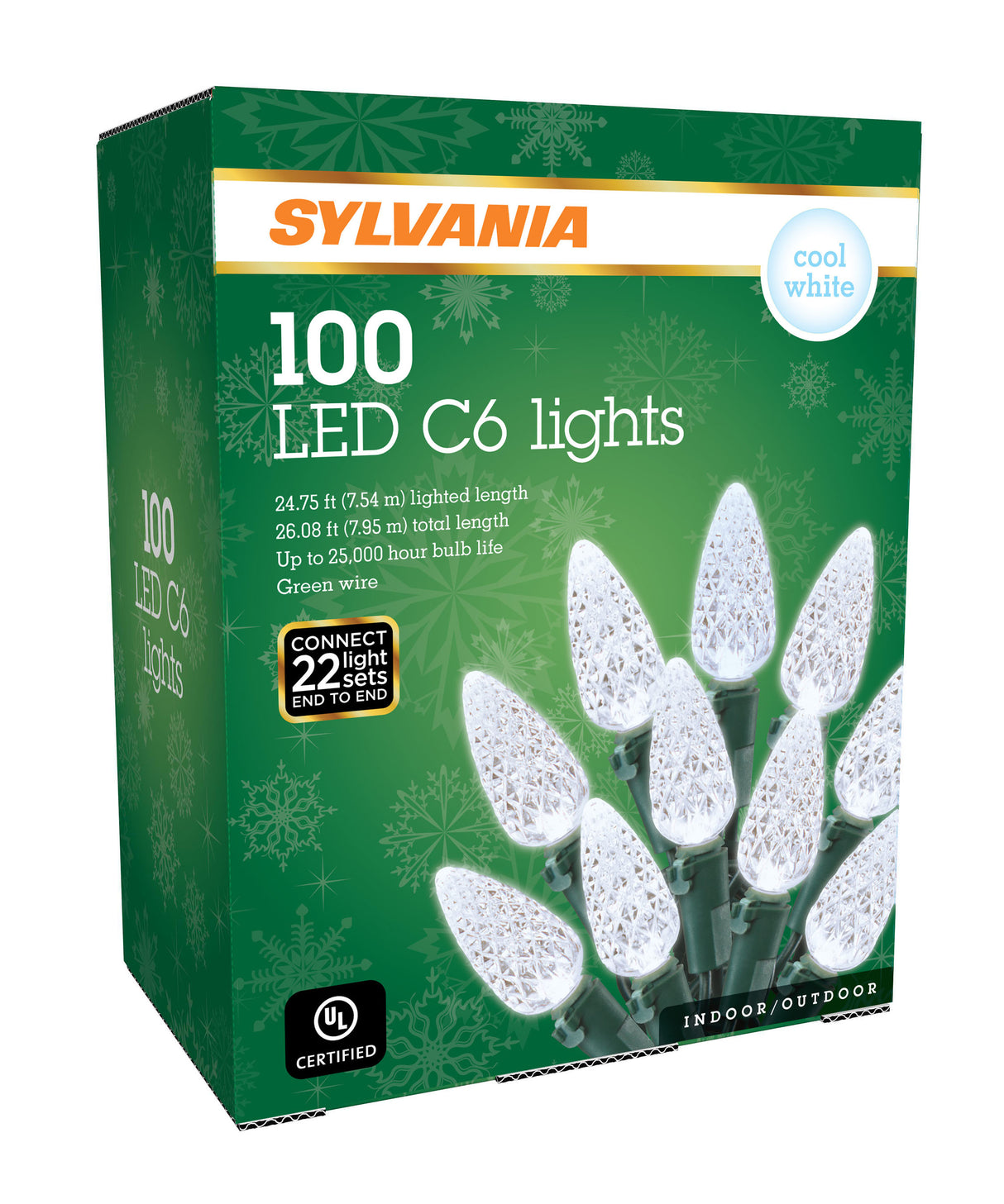 Set of 100 C6 LED Lights