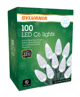 Set of 100 C6 LED Lights