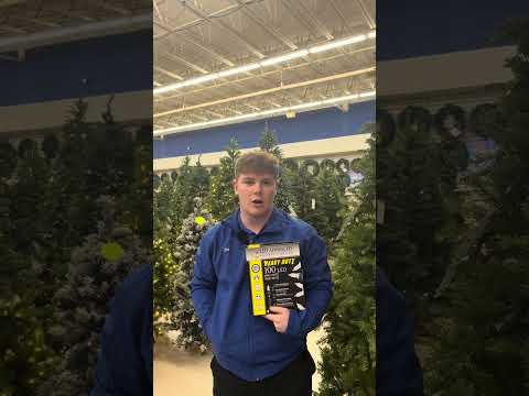 Set of 100 Heavy Duty Mini LED Lights