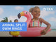 Inner tubes for kids shaped like different animals.