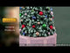 This is a video showcasing the intricate details of this specific Lemax tree.