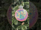 100MM Iridescent Mirror Ball Light-Up Ornament