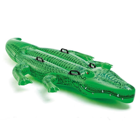 Pool inflatable shaped like an alligator.