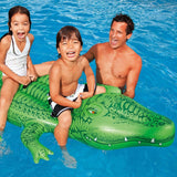 Pool inflatable shaped like an alligator.