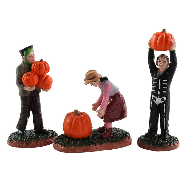 Polyresin figurines for a Lemax display. Designed to look like three kids dressed in costumes choosing pumpkins. One is dressed like Frankenstein and is holding three pumpkins. There's a girl dressed as a cowboy about to pick up a large pumpkin. The third kid is dressed as skeleton and is holding a pumpkin over his head.