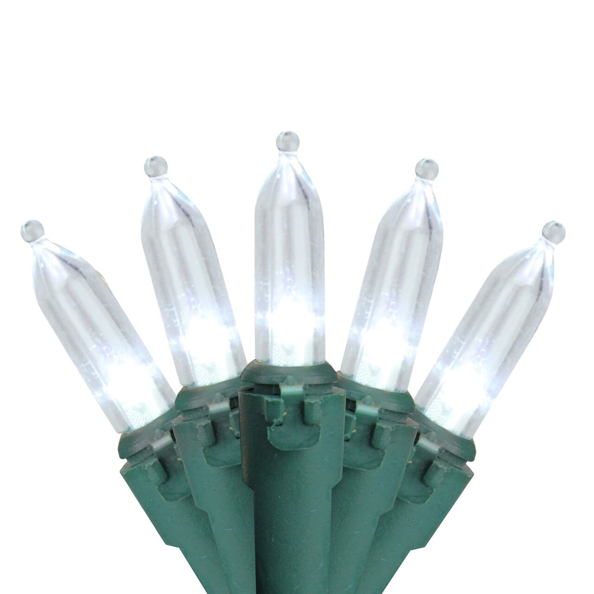 An up close look at mini pure white LED lights.