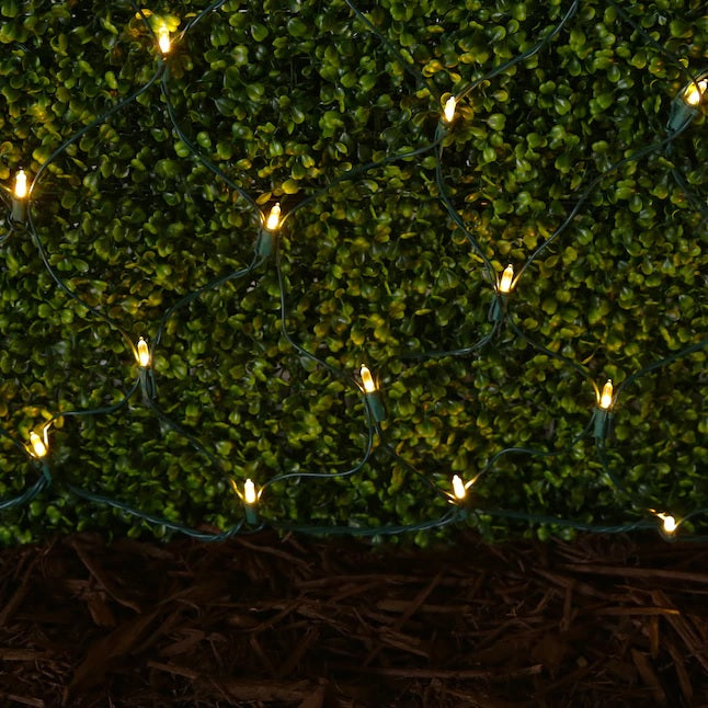 Set of 100 Professional Grade Christmas LED Net Lights