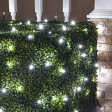 Set of 100 Professional Grade Christmas LED Net Lights
