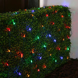 Set of 100 Professional Grade Christmas LED Net Lights
