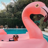 This is a lifestyle image showing a dachshund dog wearing sunglasses sitting on the flamingo float in a pool. 