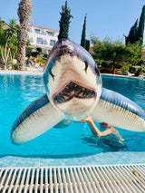 Pool inflatable shaped like a shark.