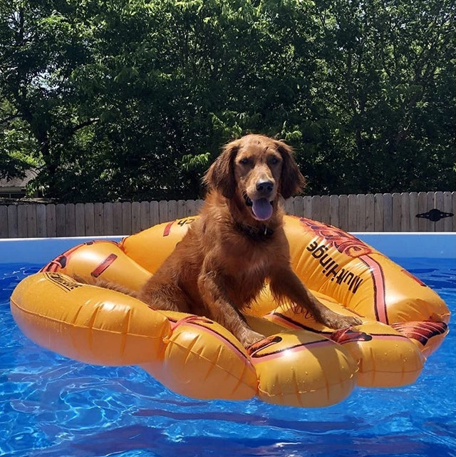 Yellow pool inflatable shaped like a baseball glove.
