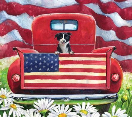 Patriotic Passenger Suede House Flag