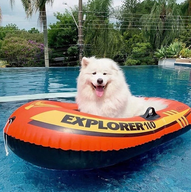 Inflatable boat for kids.