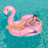 Ride on pool inflatable shaped like a pink flamingo.