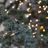 Set of 100 Mini Christmas Lights by Sylvania