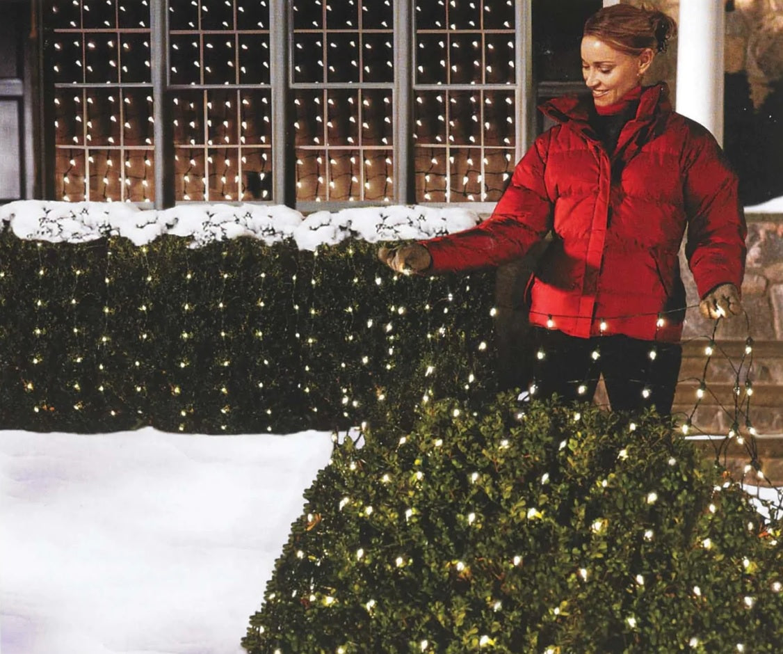 Basically a blanket of lights. You can wrap it around tree trunks, you can throw it over a bush, etc. There are different color options. These lights are clear.