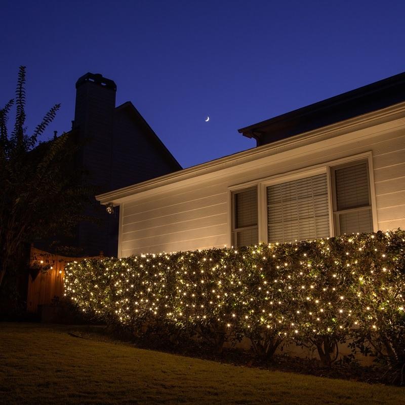 Basically a blanket of lights. You can wrap it around tree trunks, you can throw it over a bush, etc. There are different color options. These lights are clear.