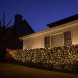 Basically a blanket of lights. You can wrap it around tree trunks, you can throw it over a bush, etc. There are different color options. These lights are clear.