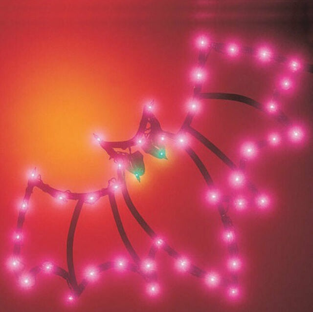 Lighted Bat Halloween Silhouette