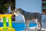 Yellow and green floating basketball hoop.