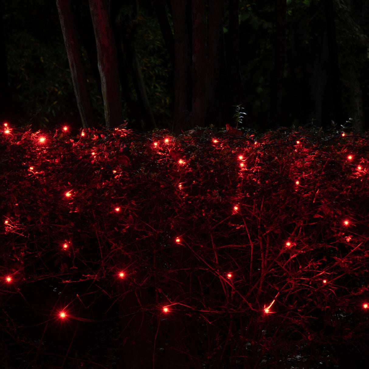 Set of 100 Professional Grade Christmas LED Net Lights