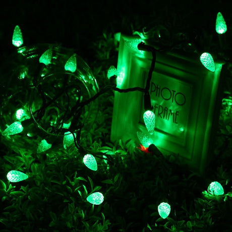 A string of green LED lights inside a glass vase next to a photo frame.