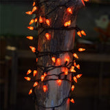 Set of 35 LED C6 Lights on Black Wire - Halloween Series
