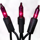 Set of 100 Purple Halloween Lights on a Black Wire