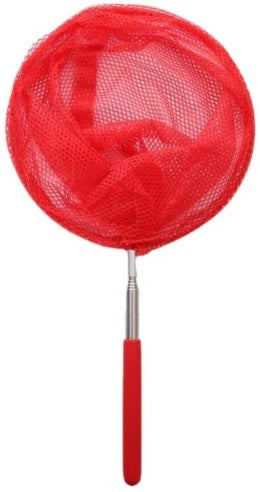 childrens fishing net Extendable Beach Catch Net | Fish Net for Kids