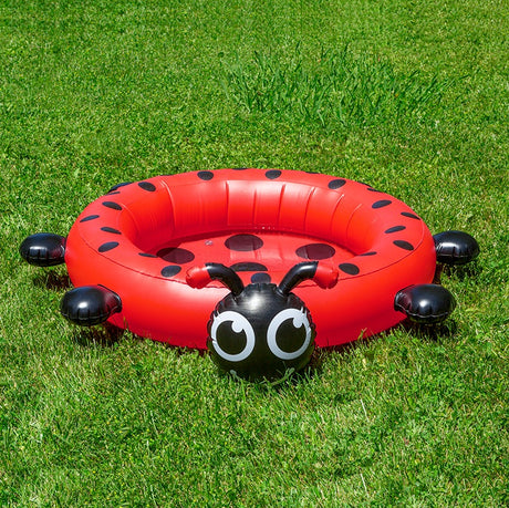 Small inflatable pool for kids shaped like a cute ladybug.