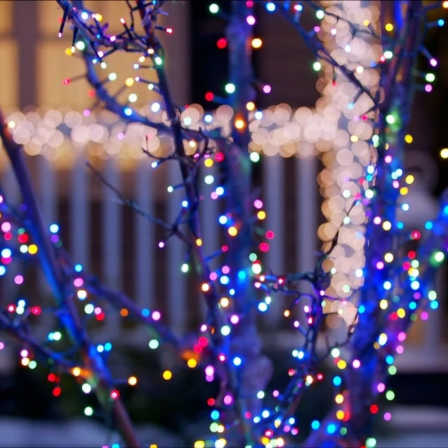 Multi-colored string lights wrapped around tree branches.