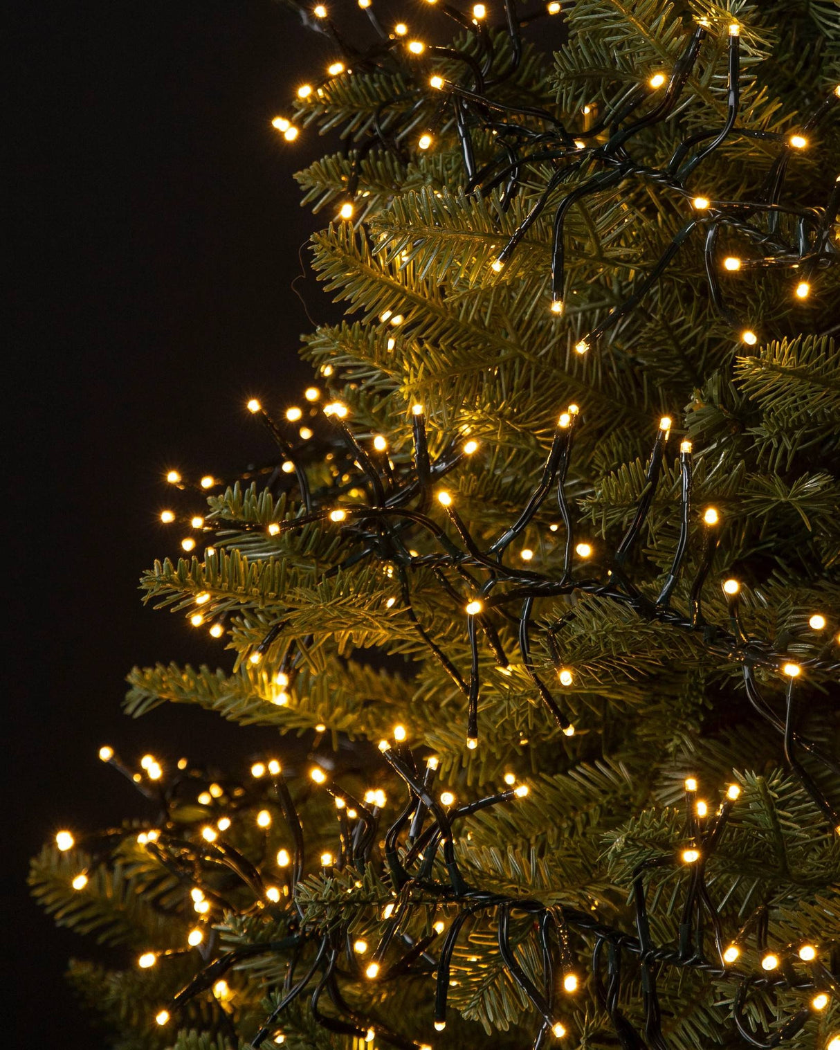 A string of warm white LED lights hanging on branches of a Christmas tree.