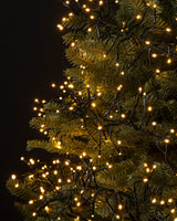 A string of warm white LED lights hanging on branches of a Christmas tree.