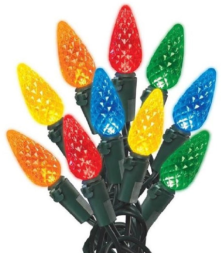 Set of 100 C6 LED Lights