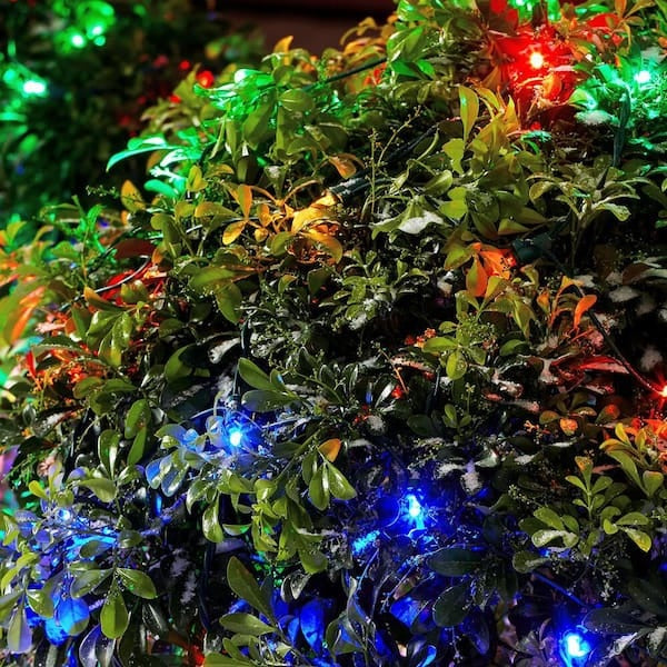 4' x 6' Dome Net Style LED Shrub Christmas Lights