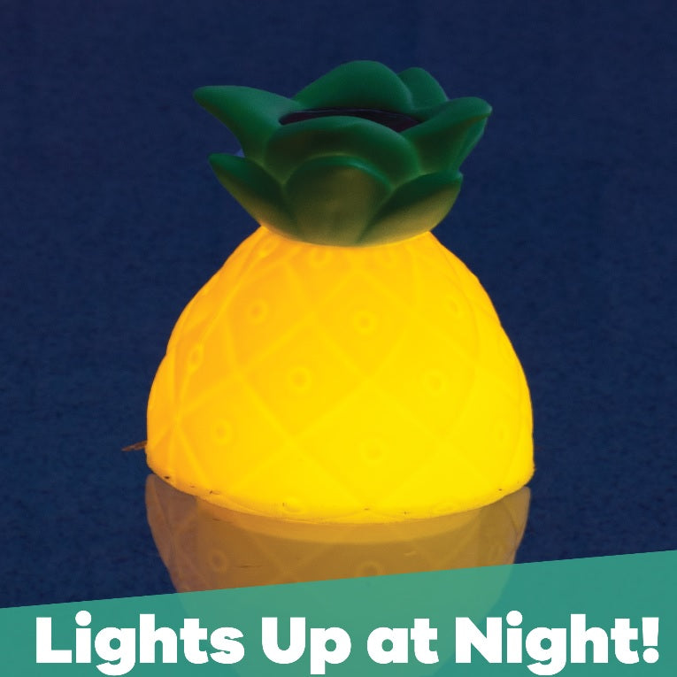 Solar Powered LED Pineapple Pool Chlorine Dispenser 12427