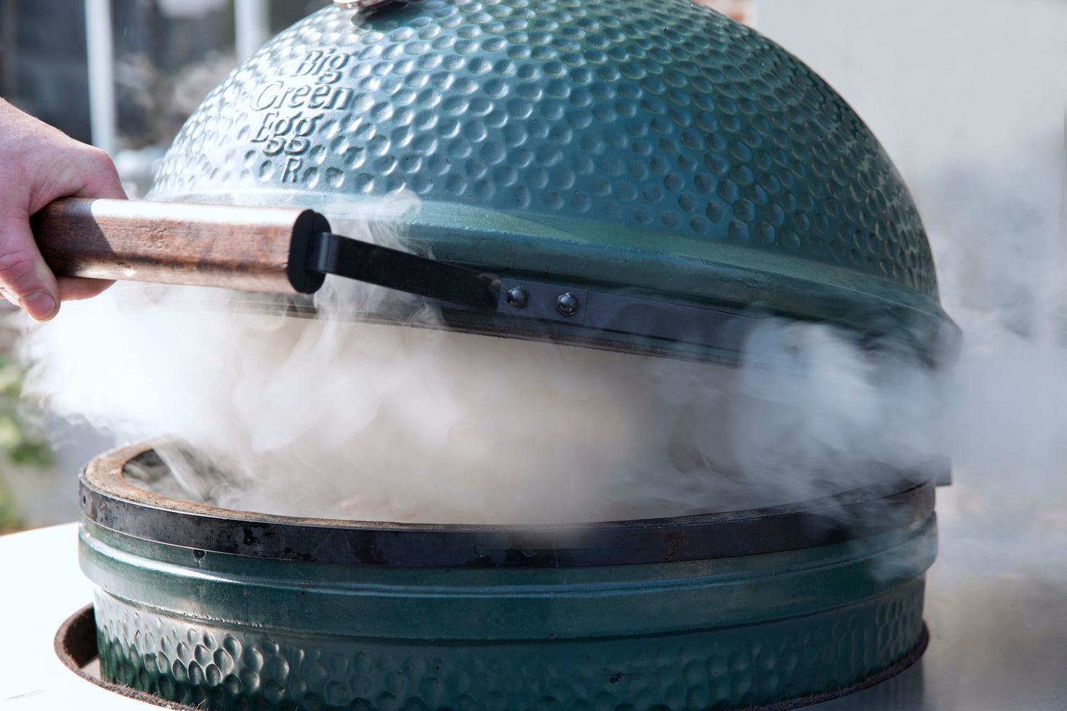 Big Green Egg Medium EGG Grill with Nest Option