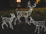 3-Piece Woodland Family LED Wire Sculpture Combo