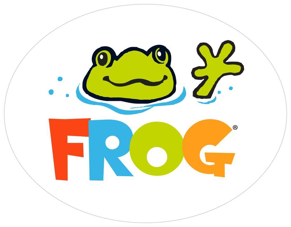FROG® Leap Infuzer® Sanitizing System for Above Ground Pools