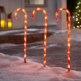Candy Cane Pathway Stake