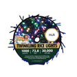 Multi-colored twinkling rice lights.