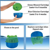 Flippin' FROG® Pool Sanitizer Chlorine Cartridge