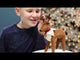 The Elf on the Shelf® Elf Pets®: An Arctic Fox Tradition